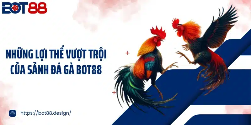 Những lợi thế vượt trội của sảnh đá gà Bot88